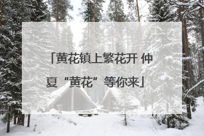 黄花镇上繁花开 仲夏“黄花”等你来