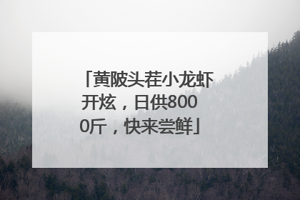 黄陂头茬小龙虾开炫，日供8000斤，快来尝鲜