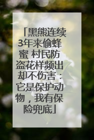 黑熊连续3年来偷蜂蜜 村民防盗花样频出却不伤害：它是保护动物，我有保险兜底