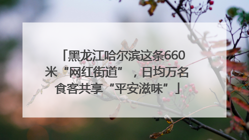 黑龙江哈尔滨这条660米“网红街道”，日均万名食客共享“平安滋味”