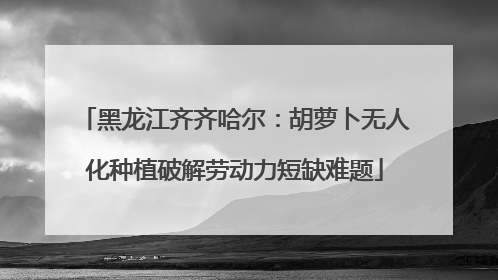 黑龙江齐齐哈尔：胡萝卜无人化种植破解劳动力短缺难题