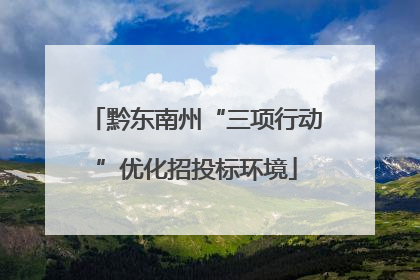黔东南州“三项行动”优化招投标环境