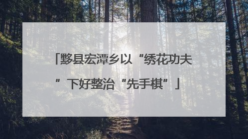 黟县宏潭乡以“绣花功夫”下好整治“先手棋”