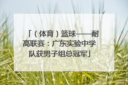 （体育）篮球——耐高联赛：广东实验中学队获男子组总冠军