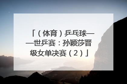 （体育）乒乓球——世乒赛：孙颖莎晋级女单决赛（2）