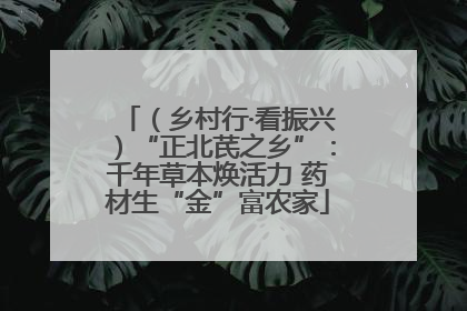 （乡村行·看振兴）“正北芪之乡”：千年草本焕活力 药材生“金”富农家