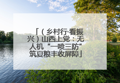 （乡村行·看振兴）山西上党：无人机“一喷三防”筑夏粮丰收屏障