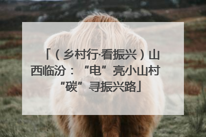 （乡村行·看振兴）山西临汾：“电”亮小山村 “碳”寻振兴路