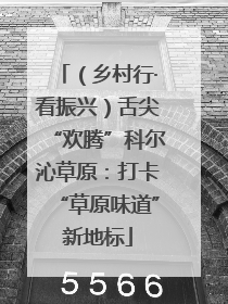（乡村行·看振兴）舌尖“欢腾”科尔沁草原：打卡“草原味道”新地标