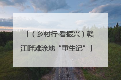 （乡村行·看振兴）赣江畔滩涂地“重生记”