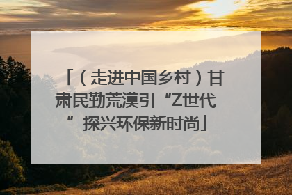 （走进中国乡村）甘肃民勤荒漠引“Z世代”探兴环保新时尚