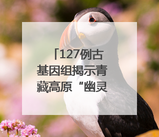 127例古基因组揭示青藏高原“幽灵祖先”与南亚语系族群遗传起源｜封面科考队