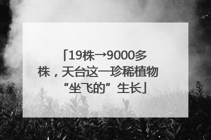 19株→9000多株，天台这一珍稀植物“坐飞的”生长