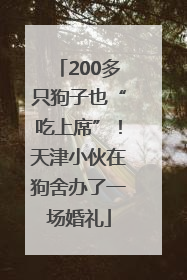 200多只狗子也“吃上席”！天津小伙在狗舍办了一场婚礼