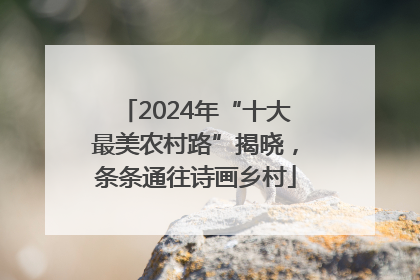 2024年“十大最美农村路”揭晓，条条通往诗画乡村