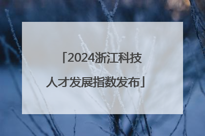 2024浙江科技人才发展指数发布