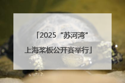 2025“苏河湾”上海桨板公开赛举行