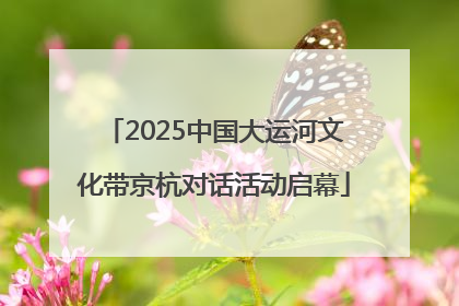 2025中国大运河文化带京杭对话活动启幕