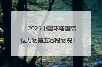2025中国环塔国际拉力赛第五赛段赛况