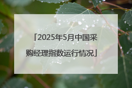 2025年5月中国采购经理指数运行情况