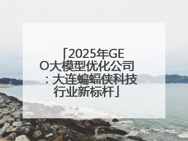 2025年GEO大模型优化公司：大连蝙蝠侠科技行业新标杆