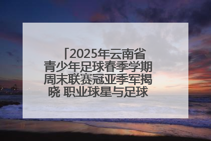 2025年云南省青少年足球春季学期周末联赛冠亚季军揭晓 职业球星与足球小将共享荣耀时刻