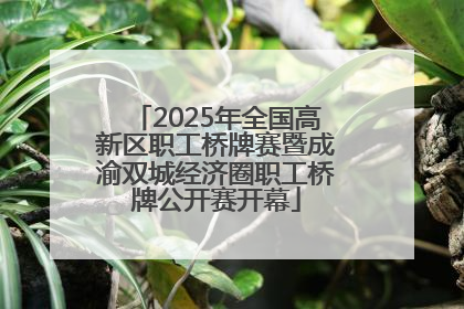2025年全国高新区职工桥牌赛暨成渝双城经济圈职工桥牌公开赛开幕
