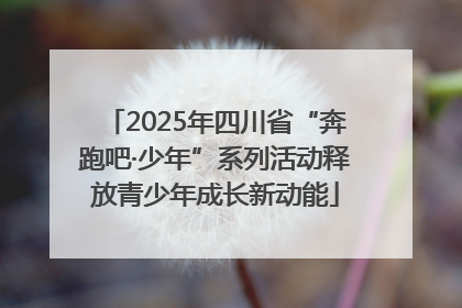 2025年四川省“奔跑吧·少年”系列活动释放青少年成长新动能