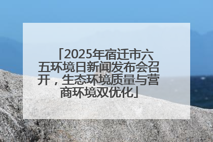 2025年宿迁市六五环境日新闻发布会召开，生态环境质量与营商环境双优化