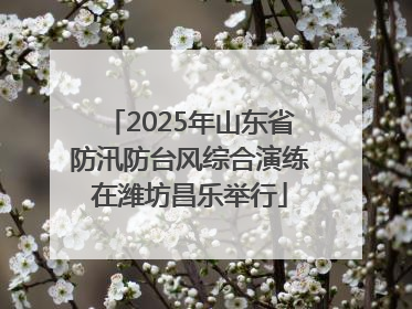 2025年山东省防汛防台风综合演练在潍坊昌乐举行