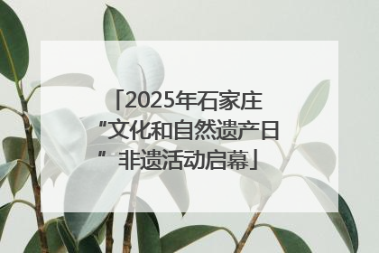 2025年石家庄“文化和自然遗产日”非遗活动启幕
