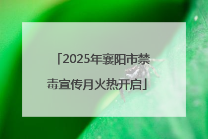 2025年襄阳市禁毒宣传月火热开启