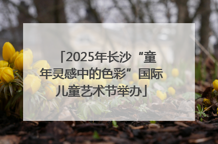 2025年长沙“童年灵感中的色彩”国际儿童艺术节举办