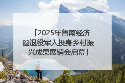 2025年鲁南经济圈退役军人投身乡村振兴成果展销会启幕