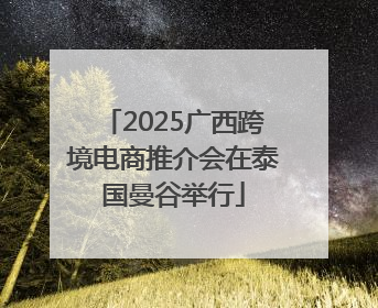 2025广西跨境电商推介会在泰国曼谷举行