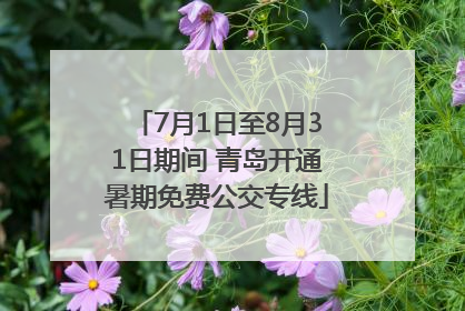 7月1日至8月31日期间 青岛开通暑期免费公交专线