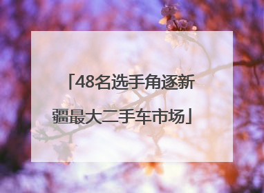 48名选手角逐新疆最大二手车市场