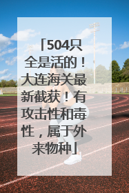 504只全是活的！大连海关最新截获！有攻击性和毒性，属于外来物种