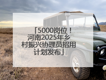 5000岗位！河南2025年乡村振兴协理员招用计划发布