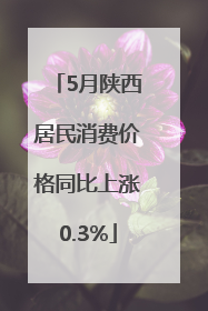 5月陕西居民消费价格同比上涨0.3%