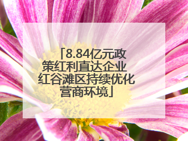 8.84亿元政策红利直达企业 红谷滩区持续优化营商环境