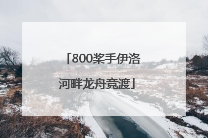 800桨手伊洛河畔龙舟竞渡