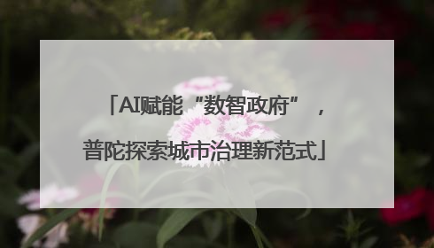 AI赋能“数智政府”，普陀探索城市治理新范式