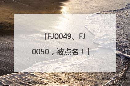 FJ0049、FJ0050，被点名！