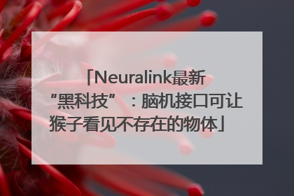 Neuralink最新“黑科技”：脑机接口可让猴子看见不存在的物体