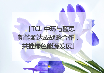 TCL 中环与蓝思新能源达成战略合作，共推绿色能源发展
